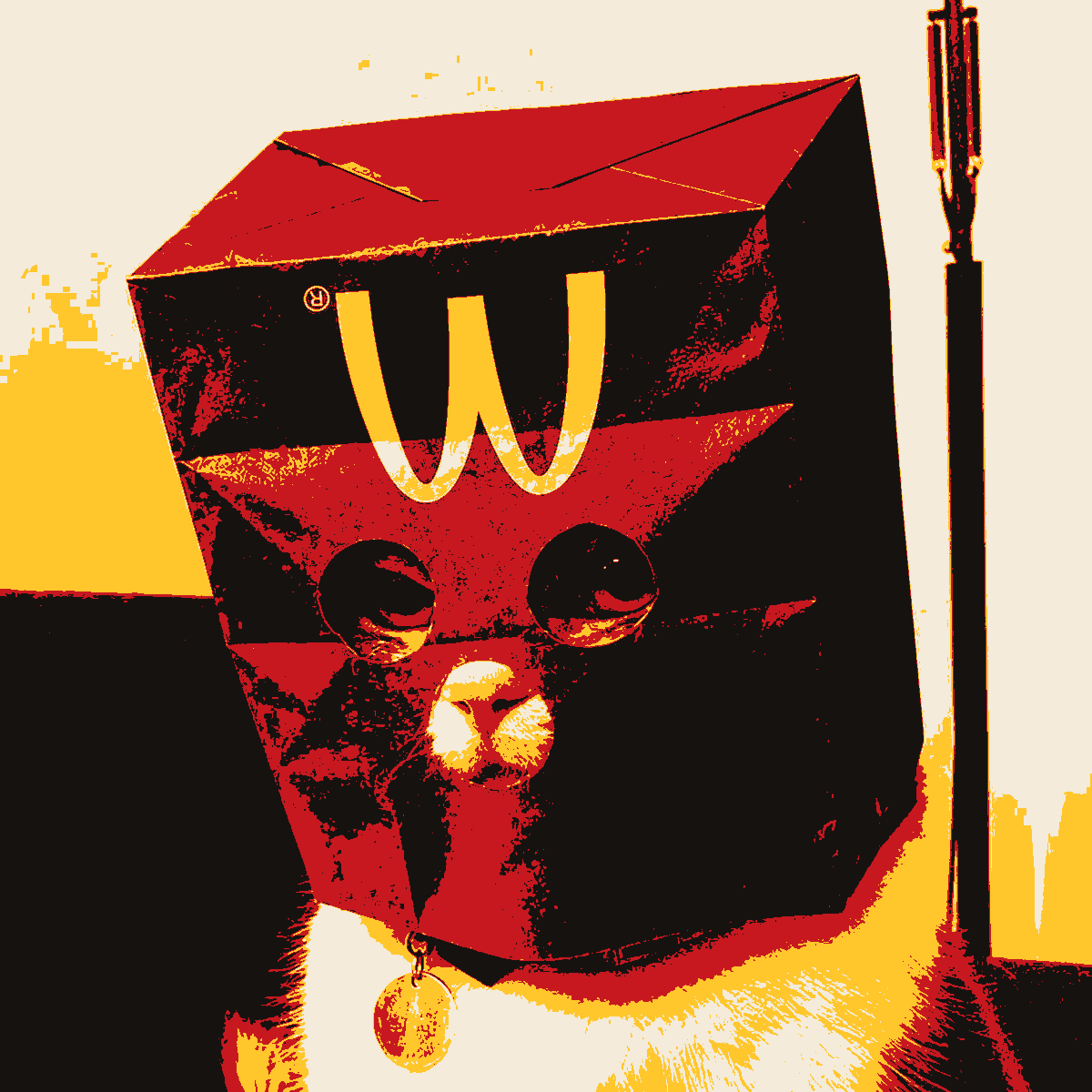 Printed poster of ZMACAT